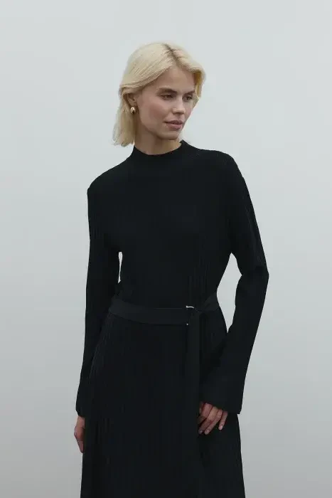 Clande Balıkçıl Yaka Triko Elbise SİYAH - 4