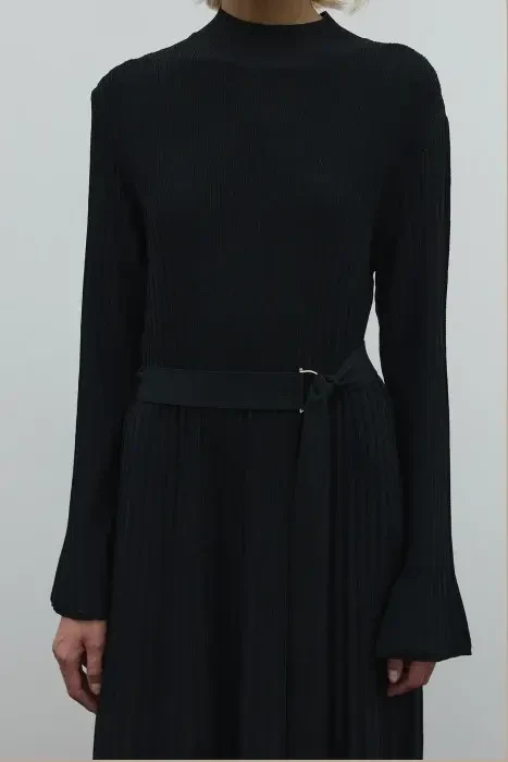 Clande Balıkçıl Yaka Triko Elbise SİYAH - 5