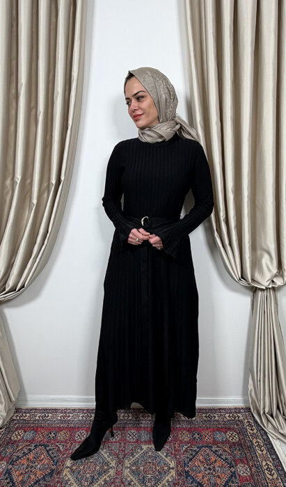 Clande Balıkçıl Yaka Triko Elbise SİYAH - 1